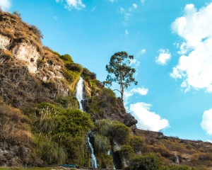 Mauris ipsum magna, faucibus vitae mauris et, euismod feugiat purus.